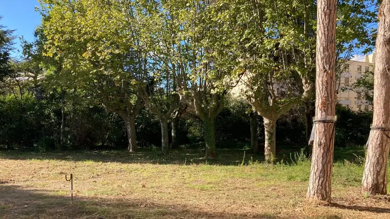 Lyon : les habitants s’insurgent contre la disparition d’un espace végétal organisé par les écologistes