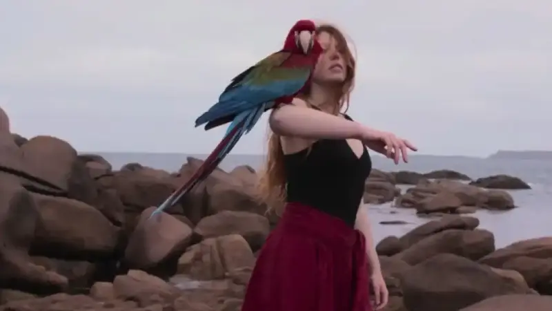 les oiseaux de pluie