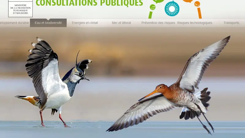 Liste des consultations publiques chasse