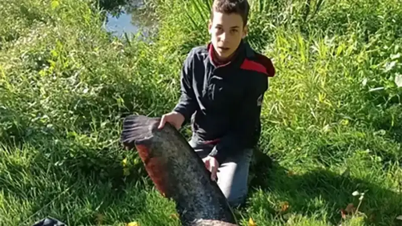 A 13 ans il pêche un silure de 2m20 en plein centre ville de Tours