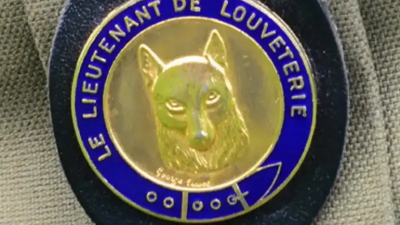 louveterie