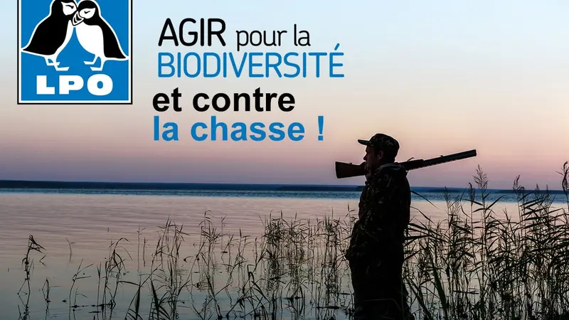 La lpo demande la fermeture de la chasse