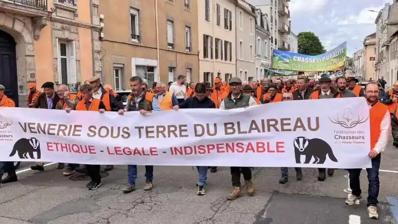 Manifestation chasse blaireau