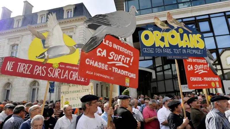 manifestation chasse