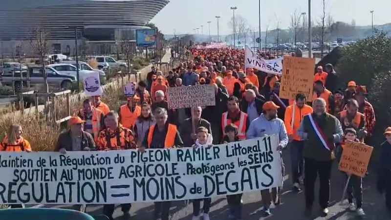Près de 1000 personnes ont participé à la manifestation de Narbonne