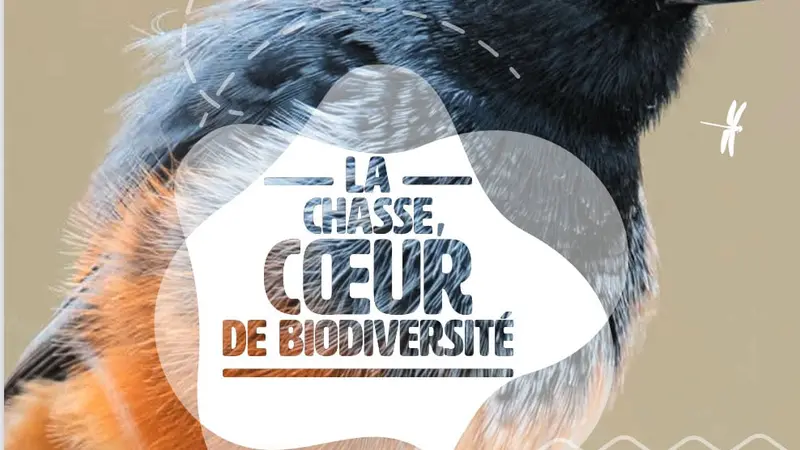 La FNC édite un manifeste pour « la chasse, coeur de biodiversité » à destination des 600 000 élus de la République