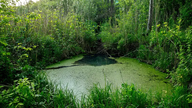 Près de 80 000 € d’amendes et d’indemnités pour avoir creusé des mares de chasse