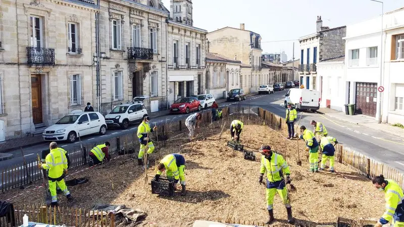 Bordeaux : 52 000€ pour planter une micro forêt de 100m²