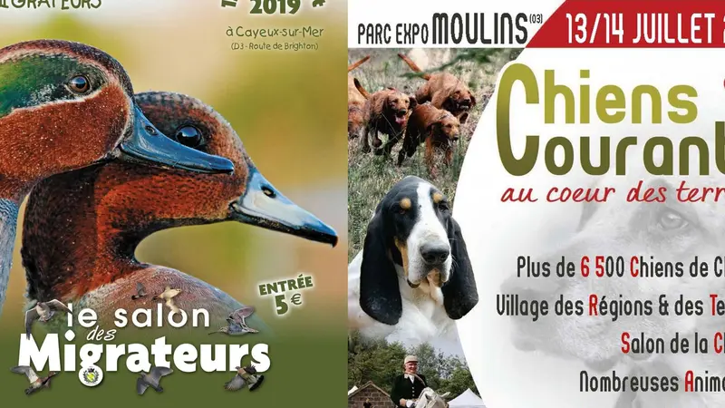 30 ans de la FACCC et le Salon des migrateurs, les 2 rendez-vous à ne pas manquer ce week-end