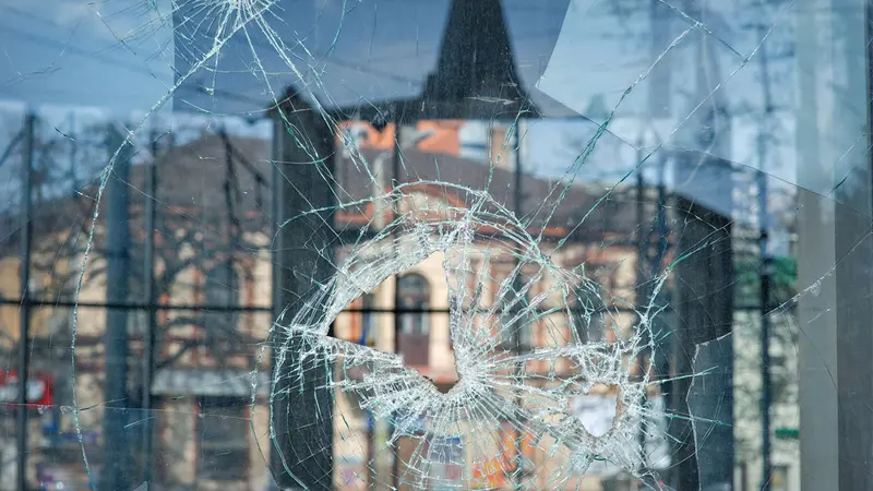 Lourdes peines de prison requises contre des militants antispécistes