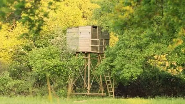 mirador-chasse