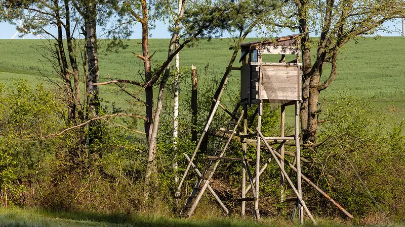 Rhône : 10 miradors de chasse vandalisés