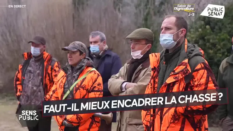 Mission au Sénat : vers un permis de chasse « probatoire » ?