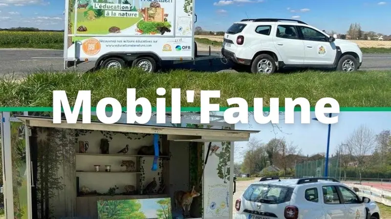 Mobil’faune : l’éducation à la nature itinérante de la FDC 77