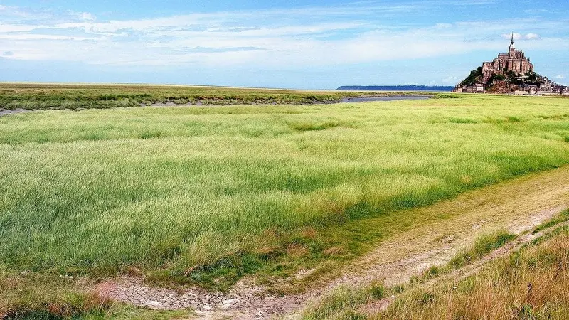 Chasse suspendue sur une partie du DPM de la Manche