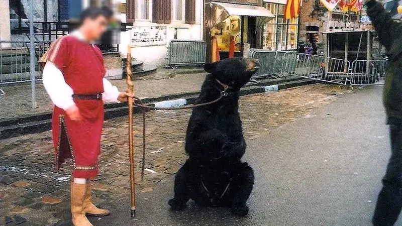 Des associations de défense des animaux tentent de faire interdire un spectacle d’ours