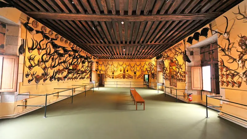musee-chasse-gien