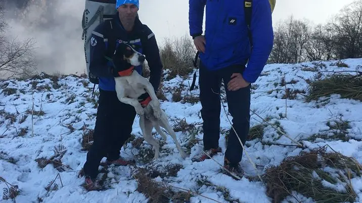 Un chien de chasse sauvé par 2 militaires du PGHM de Pierrefitte-Nestalas
