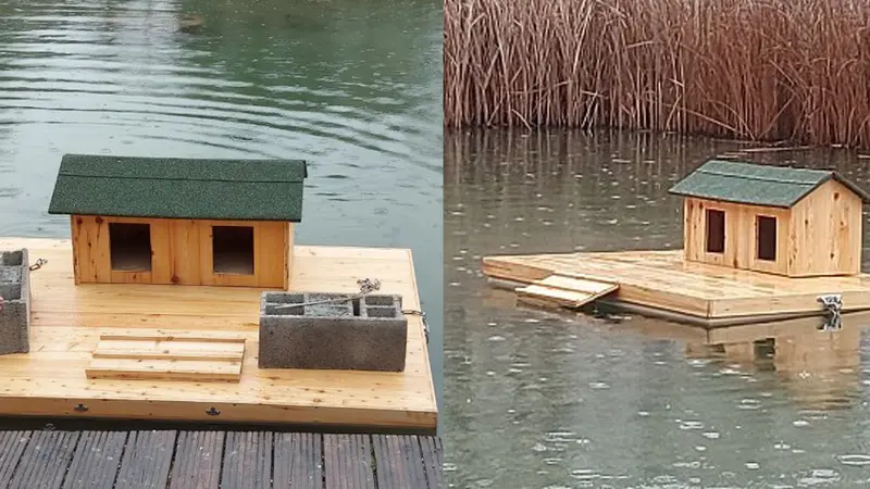 La ville de Grenoble installe des nichoirs pour « protéger les canards des intempéries »