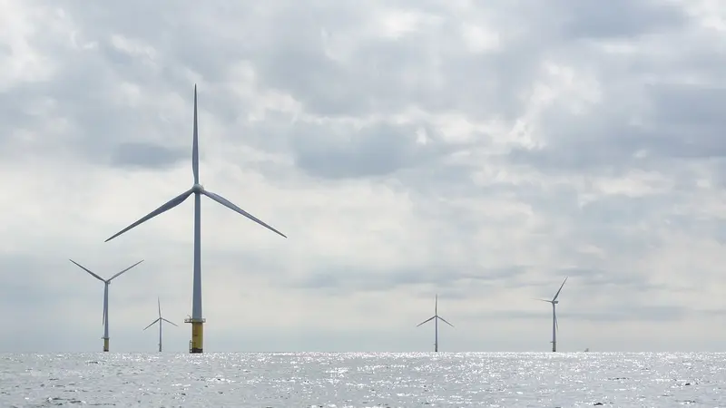Les Pays-Bas obligés d’arrêter des éoliennes pour laisser passer des oiseaux migrateurs