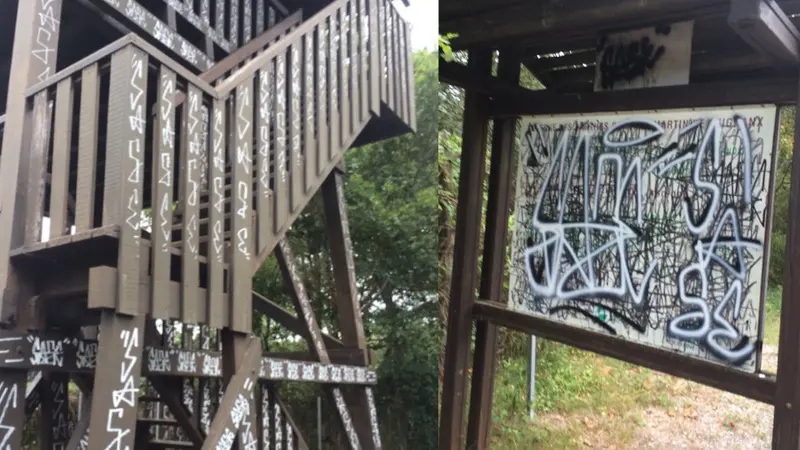 Un observatoire de la Fédération des chasseurs des Landes a été vandalisé et une plainte a été déposée