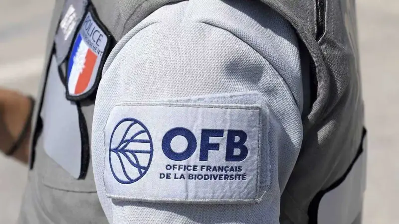 Hérault : les chasseurs de gibier d’eau contrôlés, aucunes infractions relevées