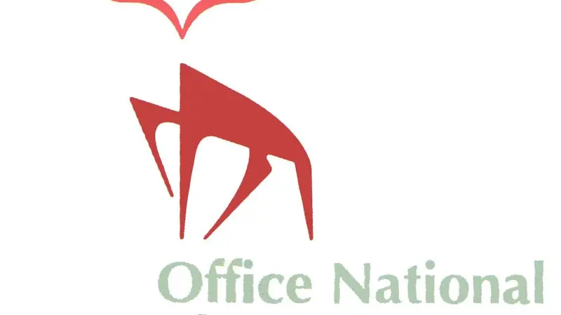 oncfs-directeur-thibault