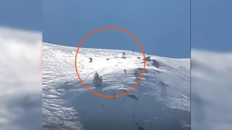 ours-ski
