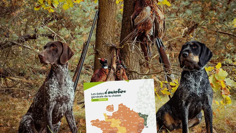 Saison de chasse 2022/2023 : toutes les dates d’ouverture par département