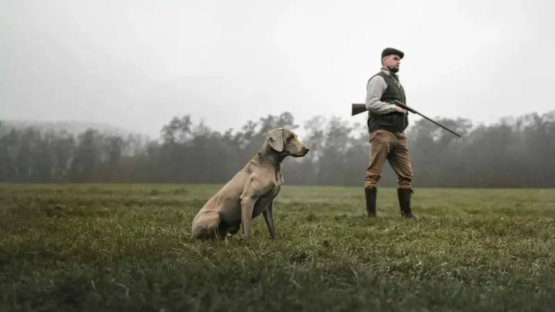 Dates d’ouverture de la chasse 2025