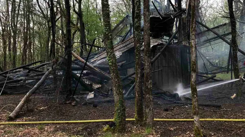 palombière incendiée en Dordogne