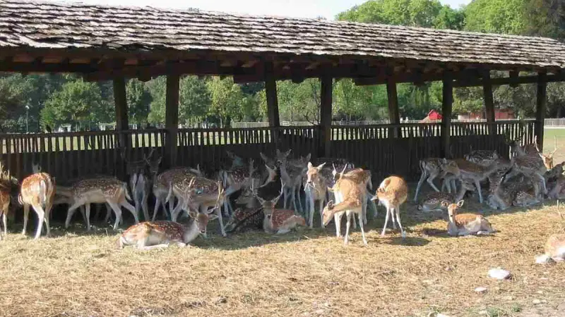 parc-de-la-tete-dor