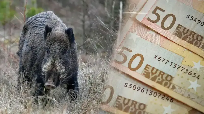payer les chasseurs