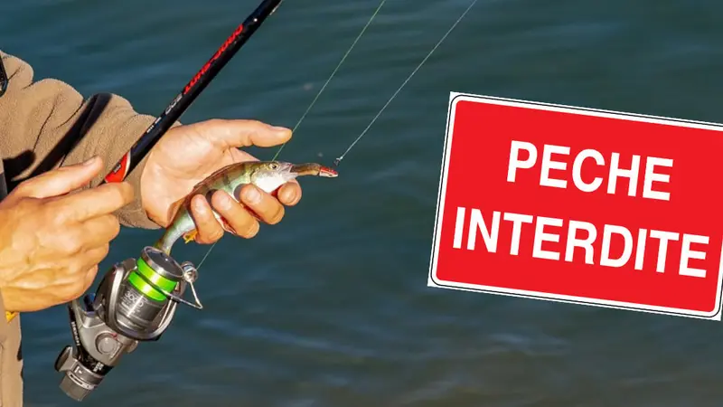 A Rennes, la pêche est considérée comme « polluante et nuisible »