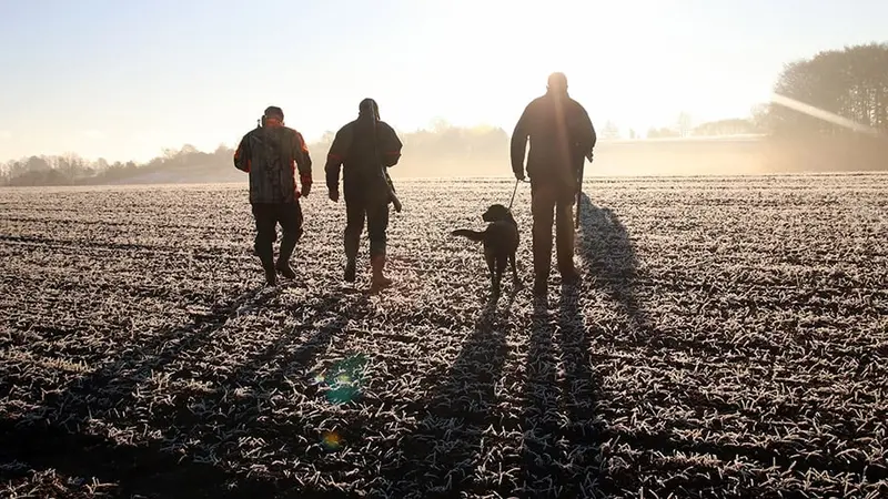 À l’instar de nombreux département, la Creuse lance cette année le permis de chasse à 0€