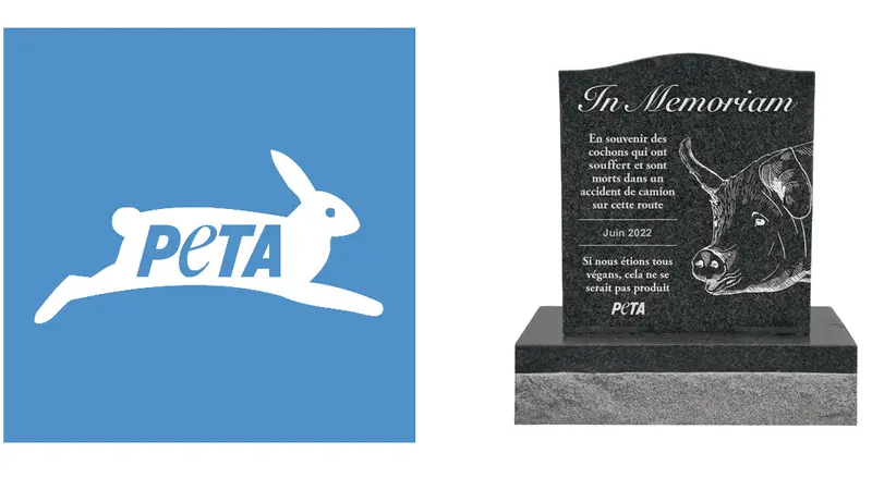 Peta demande qu’une stèle soit érigée suite à la mort de 120 cochons dans un accident