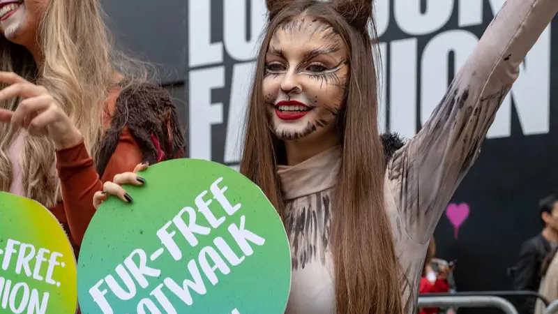 PETA offre un pistolet à eau à Willy Schraen