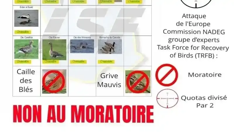 petition-moratoire