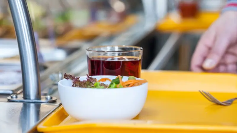 Grenoble : le menu végétarien à la cantine refusé par 94% des parents
