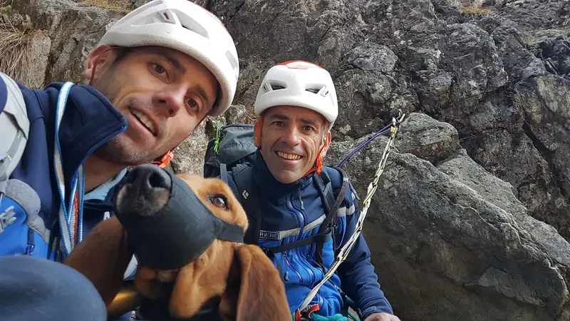 Hautes-Pyrénées : le PGHM sauve un chien de chasse