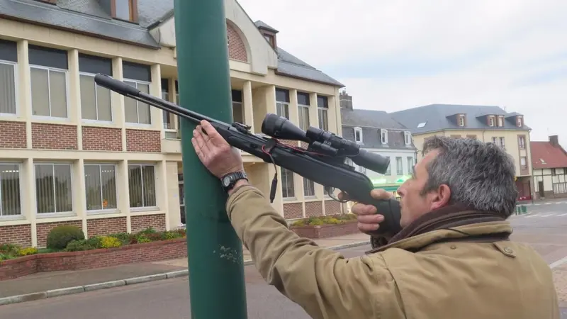 Oise : une commune obligée de détruire les pigeons à la carabine