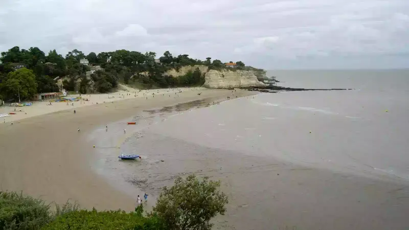 Une cage contenant 17 appelants vivants dérive sur près de 50 km