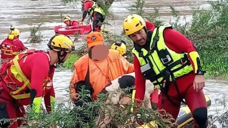 Un chasseur et ses 5 chiens sauvé des eaux par les pompiers