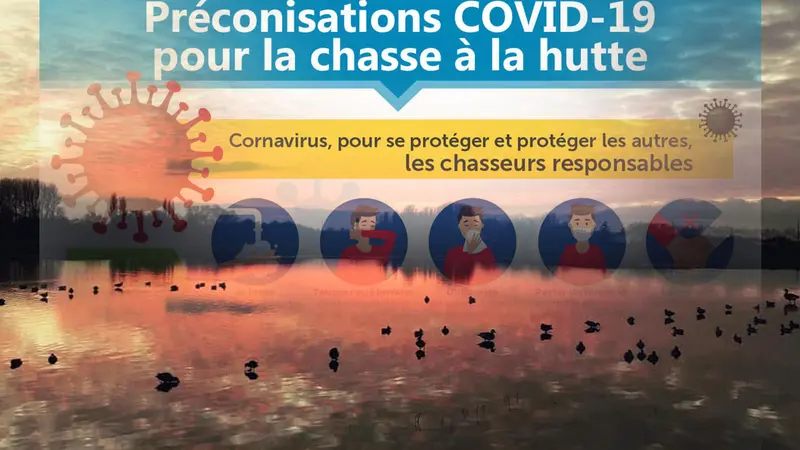 Préconisations COVID-19 pour la chasse à la hutte
