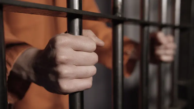 Toulouse : prison ferme pour l’homme qui a tué 2 chiens sur son balcon