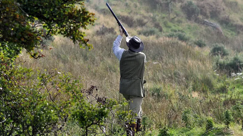 Prix des permis de chasse pour la saison 2018/2019