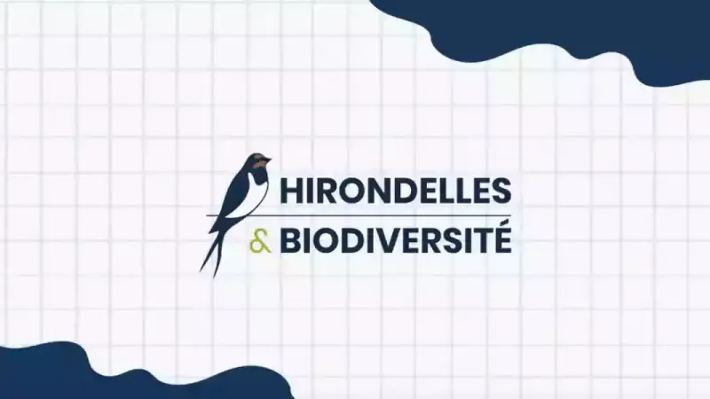 projet hirondelles et biodiversité