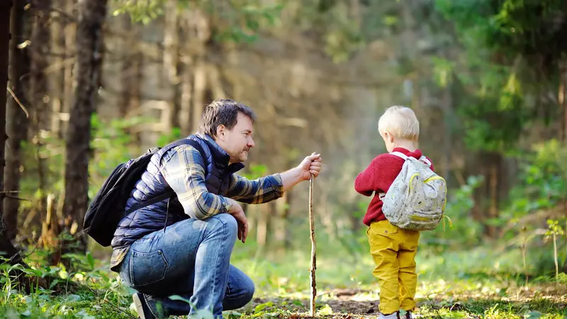 Les forêts belges bientôt réouvertes au grand public