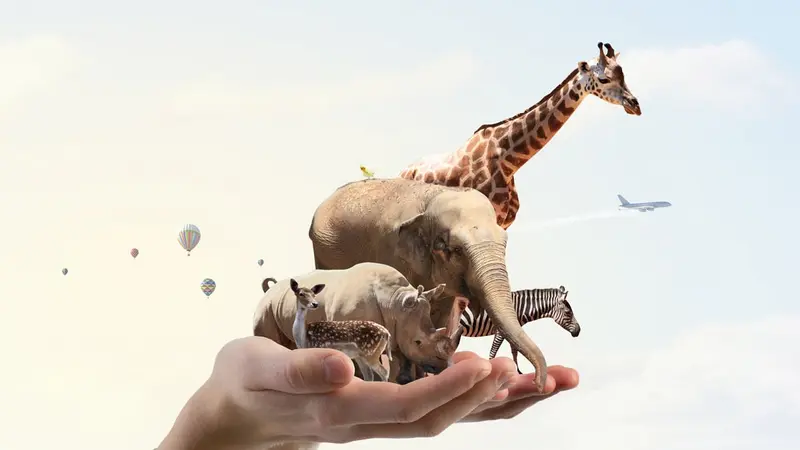 La protection animal, une marotte pour humoriste en mal d’inspiration