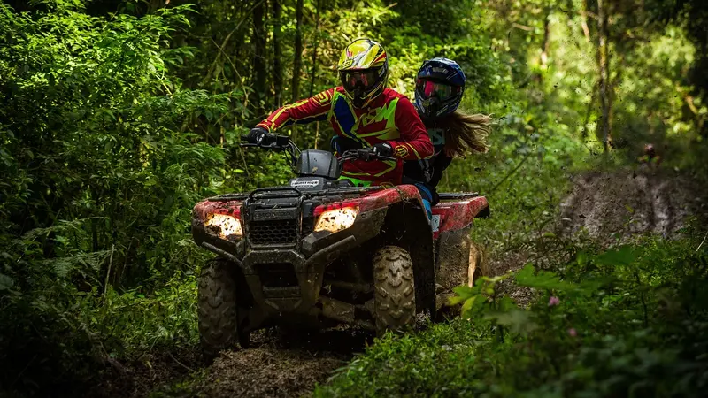 Des pilotes de quad interpellés dans le Parc Naturel Régional des Ardennes grâce au dispositif « chasseurs vigilants »
